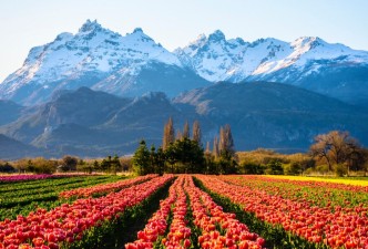 Classic Argentina & Patagonia