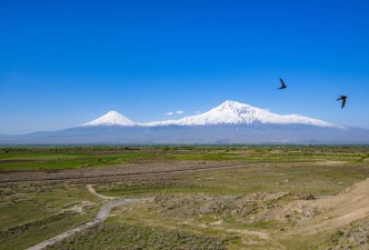 Ararat