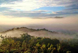 Kuching Gaya Island