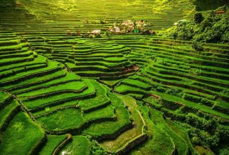 Banaue