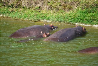 Kazinga Channel