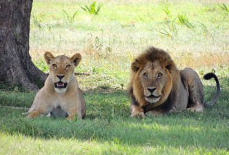 Serengeti National Park