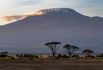 Mt Kilimanjaro