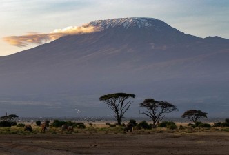 Mt Kilimanjaro