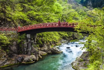 Discover Japan: Cherry Blossom Season