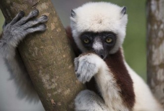 Isalo National Park