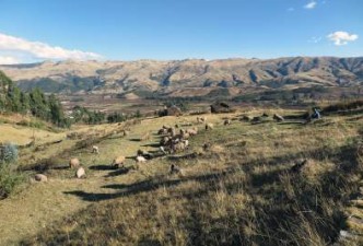 Cusco