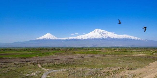 Ararat