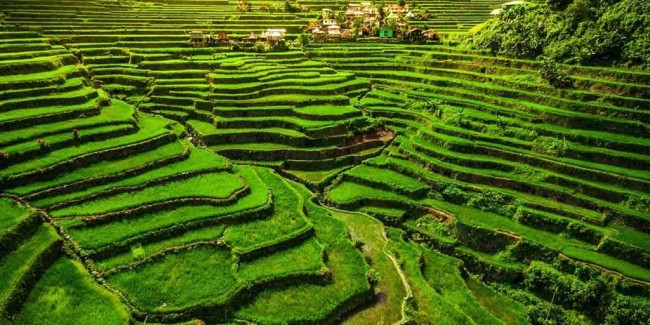 Banaue