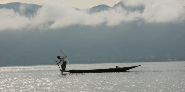 Boat Trips