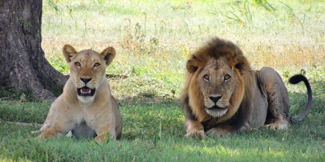 Serengeti National Park