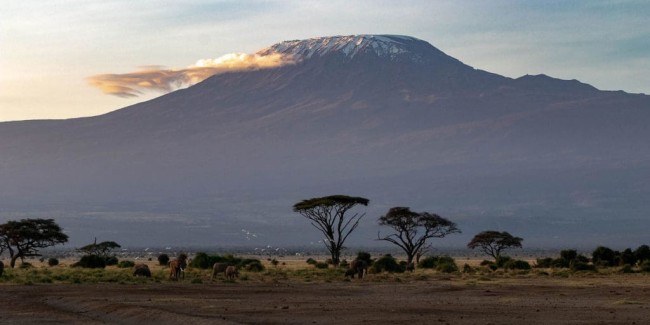 Mt Kilimanjaro