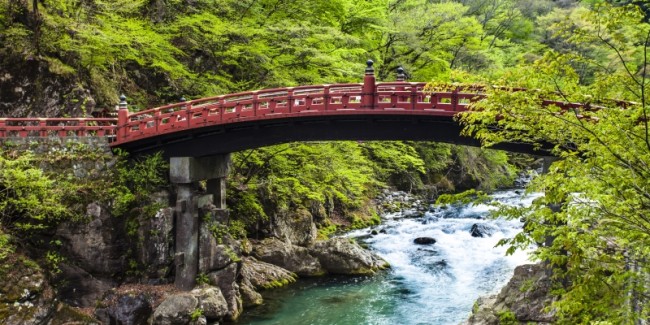 Discover Japan: Cherry Blossom Season